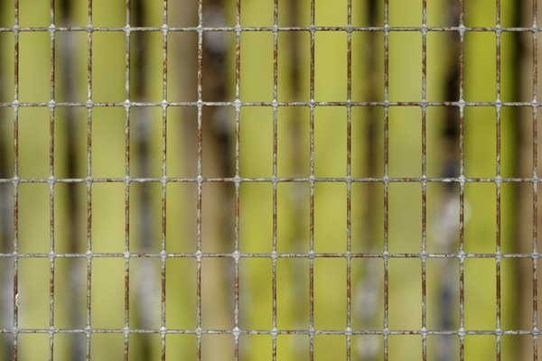 Texture - wire fence