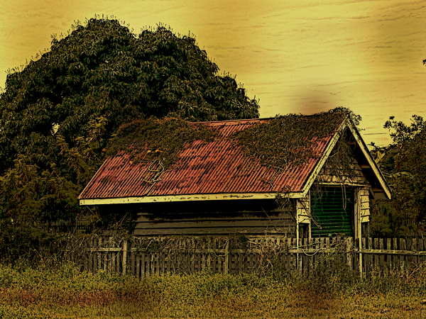 Abandoned Shed: An overgrown, abandoned shed with a red roof. Photo with several filtersto give it an old vintage look. Looks a bit sketched or arty in the large version.