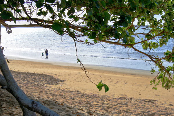 Quiet Walk on the Beach: A father and his daughter stroll along the edge of the water on a quiet, empty beach. Framed by trees on the foreshore.