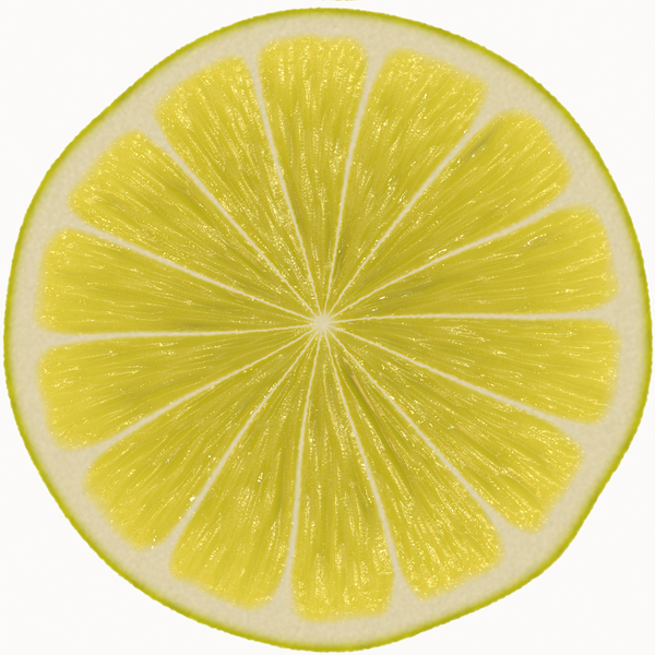 Lemon Slice: A round slice of lemon against a white background. High resolution.