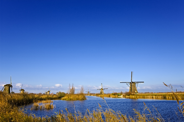 Molinos de viento holandeses: 