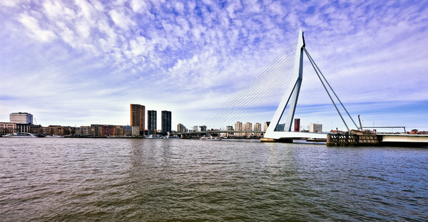 Erasmus bridge: Erasmus bridge Rotterdam