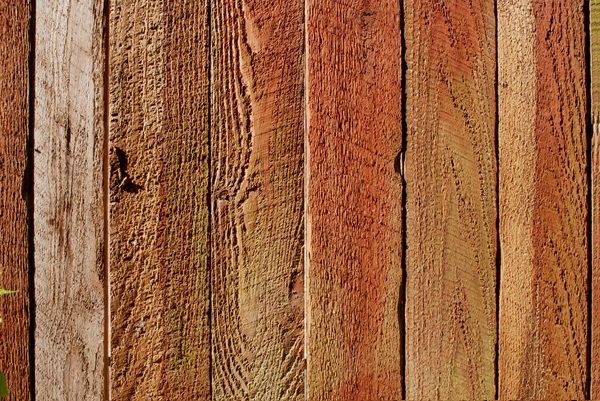 Wood Background 2: Wood texture for backgrounds. 