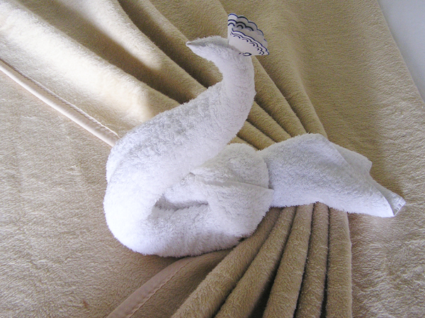 Towel swan / peacock