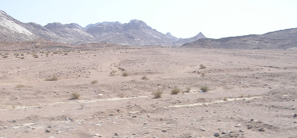 Desert: Deserts of Sinai.