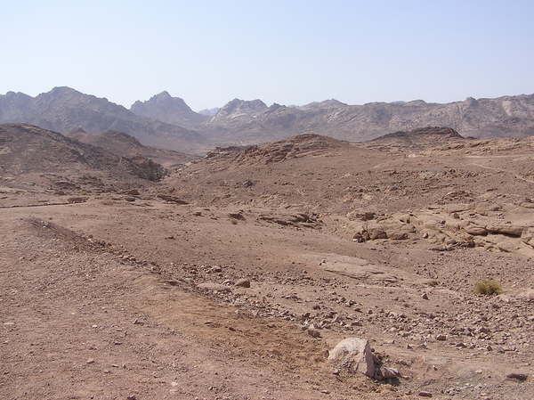 Mount Sinai area