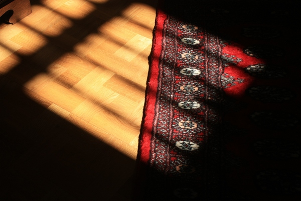 Sun and shadow on floor