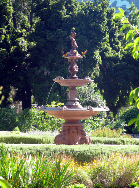 Lorikeets in the fountain 2