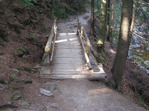 Mountain bridge