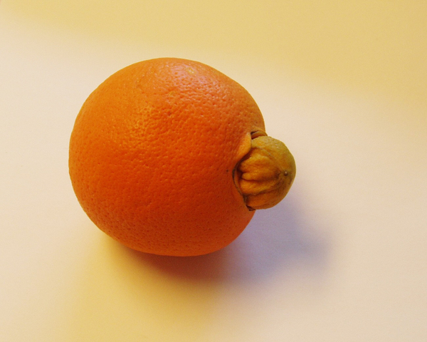 Navel orange