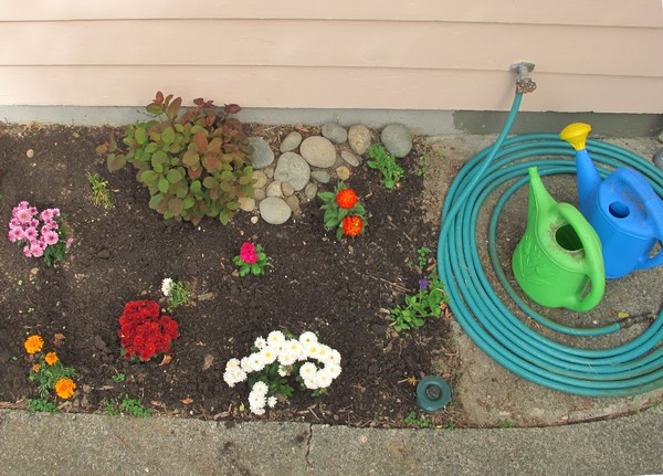 Colorful garden and tools