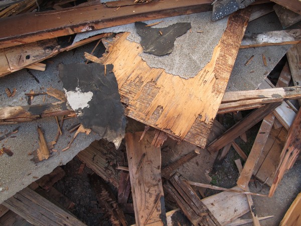 Rotted wood