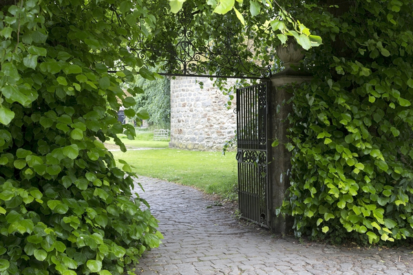 Courtyard gate: Gateway to an old courtyard in Wiltshire, England.