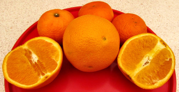 oranges & mandarins1