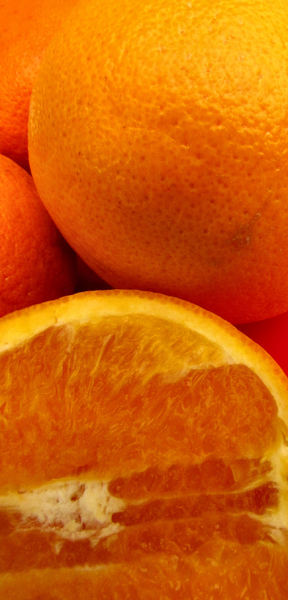 oranges & mandarins3b