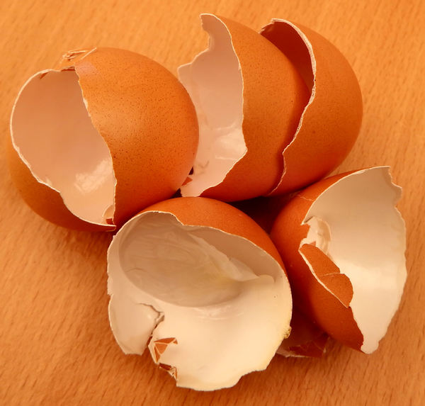 broken egg shells2
