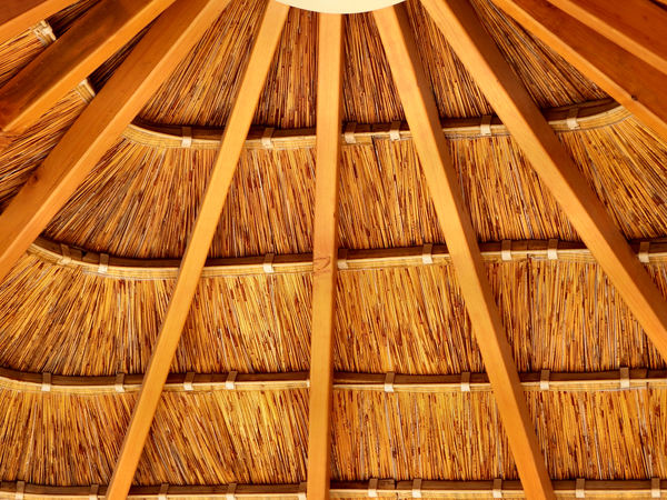 thatched patio roof5