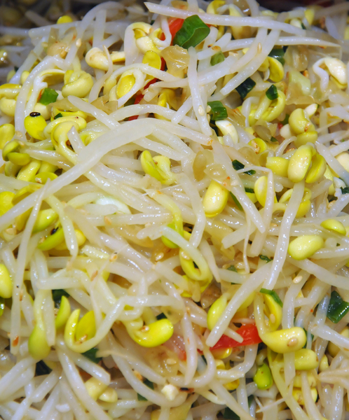bean sprouts salad