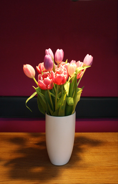 purple tulips 2