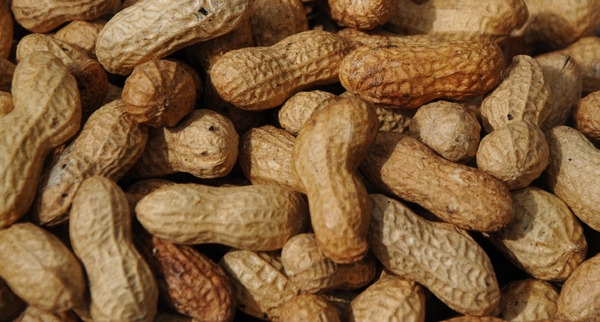peanuts texture