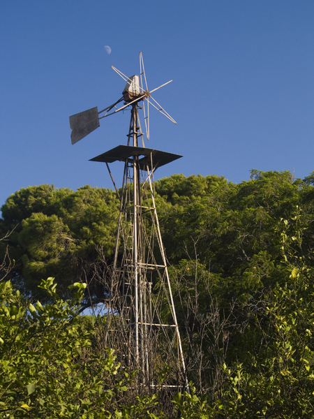 Windmill