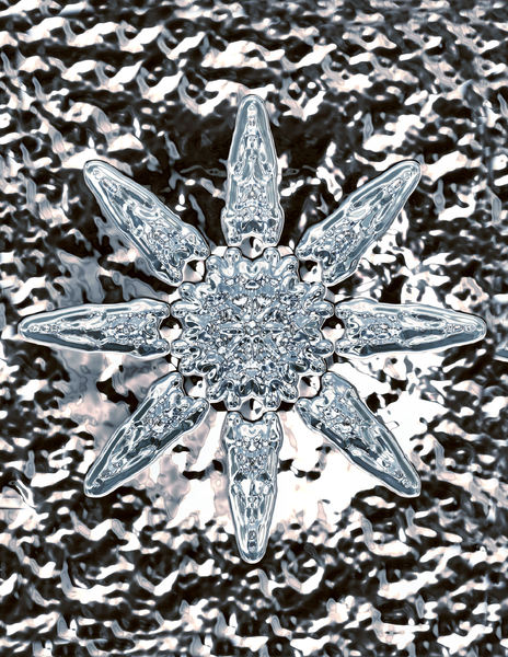 crystal starfish