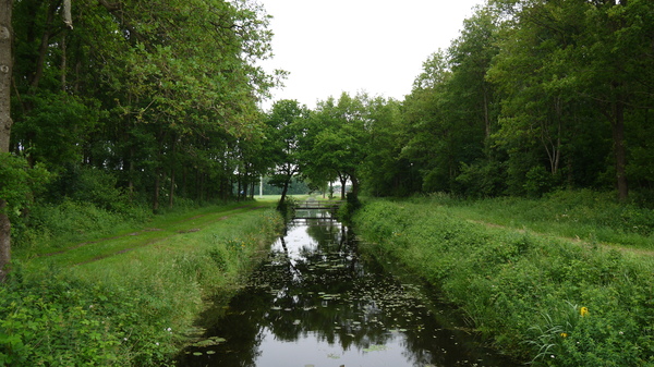 Landschap Friesland