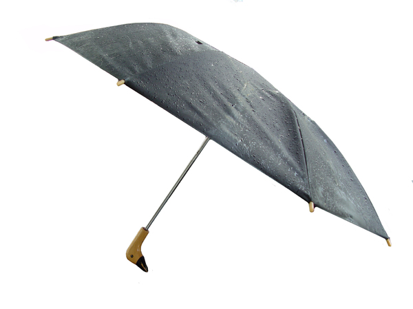 paraplu 3: 