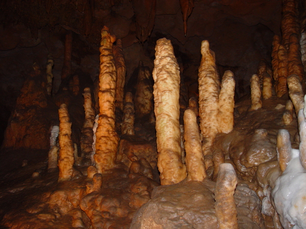 florida caverns 5