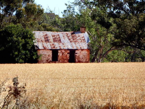 wheatfield ruins1