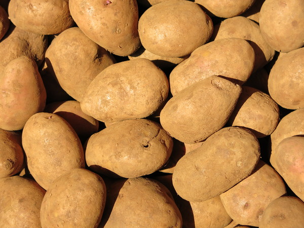 potatoes background