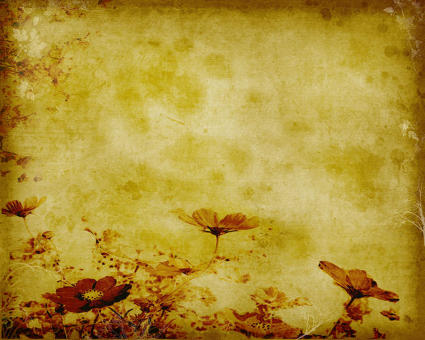 Floral textured parchment: Old parchment some flora added