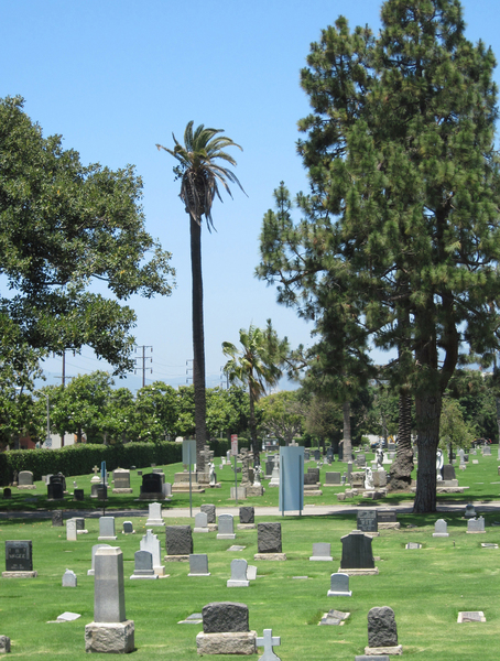 American Graveyard