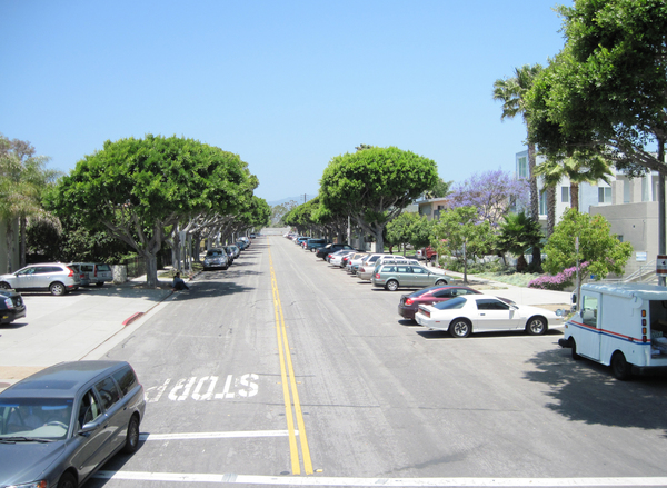 Santa Monica streets