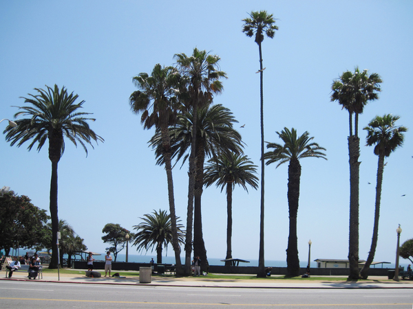 Santa Monica panorama