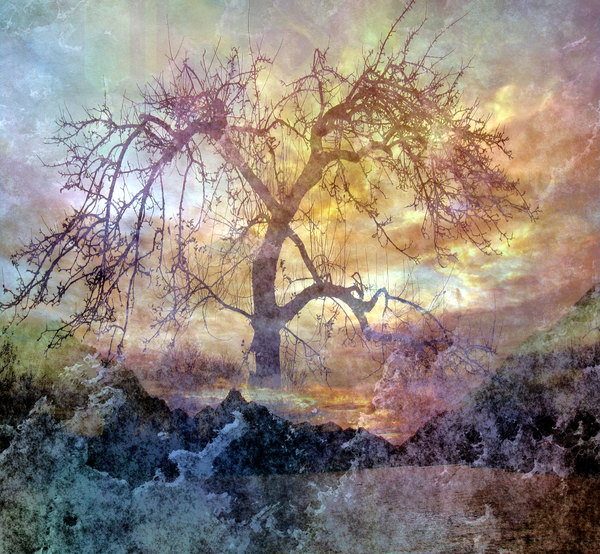 Collage Fantasy Tree 1
