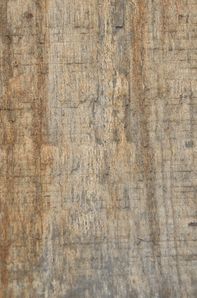 Aged wood texture 1