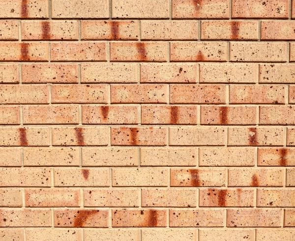brick wall textures7