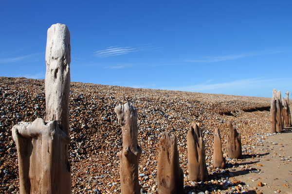 Wooden posts on a stony beach