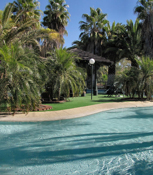 pool & palms1
