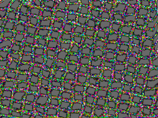 multicoloured squared mesh1