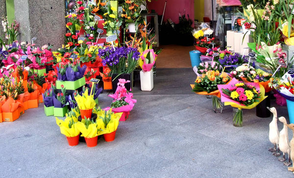 pavement flower sales1
