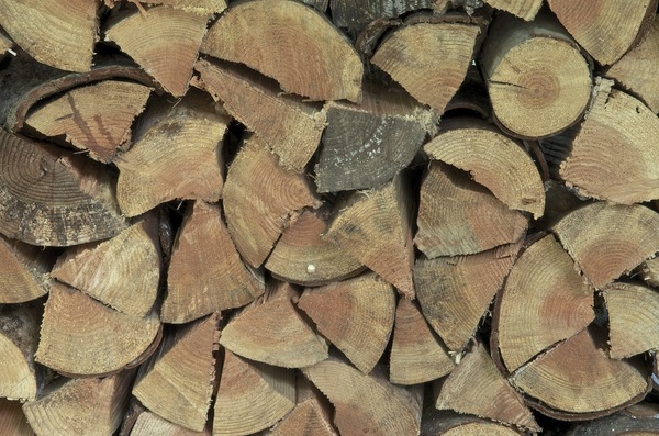 stacked firewood background