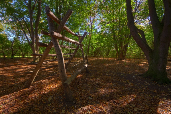 Forest fitness track - HDR