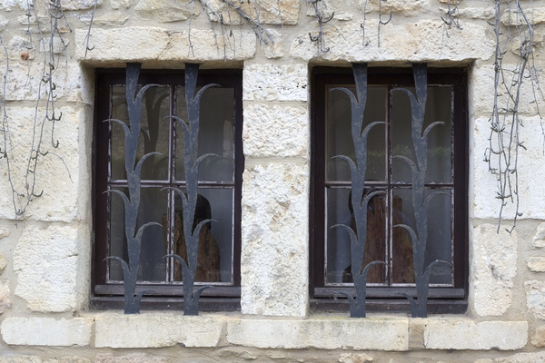 Barbed windowguards
