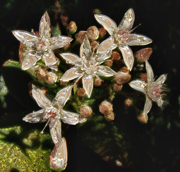 glassed flower petals1