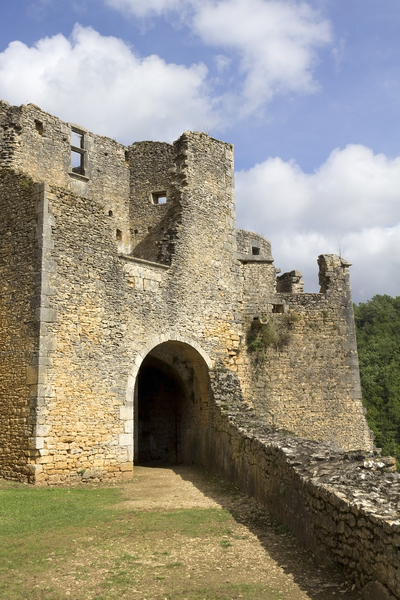 Castle remains