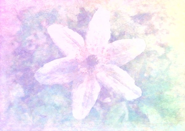 Grunge Flower 2