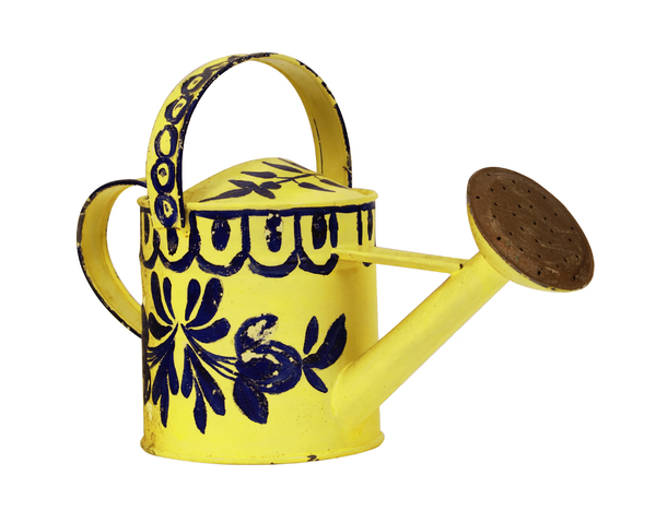 Watering Can 2