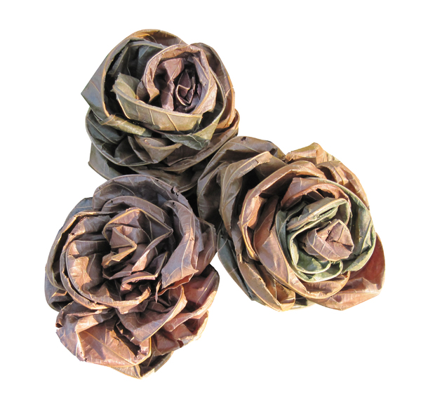 Roses made of leaves